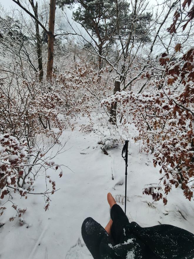 3dda3fd110dc0661344b1f26a39ce344_1766237