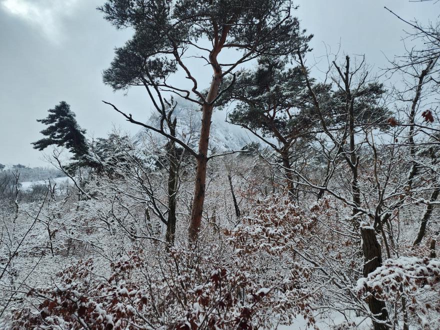 3dda3fd110dc0661344b1f26a39ce344_1766237