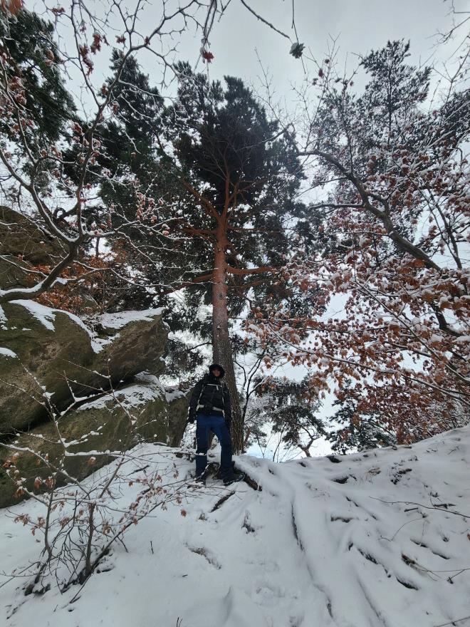 3dda3fd110dc0661344b1f26a39ce344_1766237