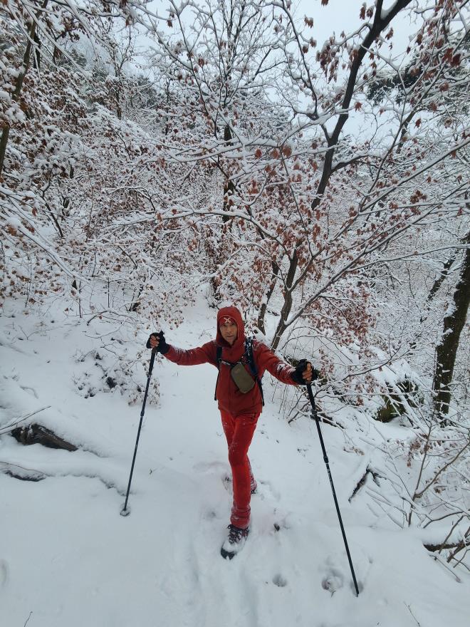 3dda3fd110dc0661344b1f26a39ce344_1766237