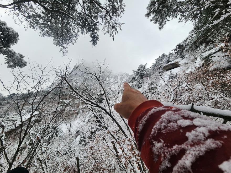 3dda3fd110dc0661344b1f26a39ce344_1766237