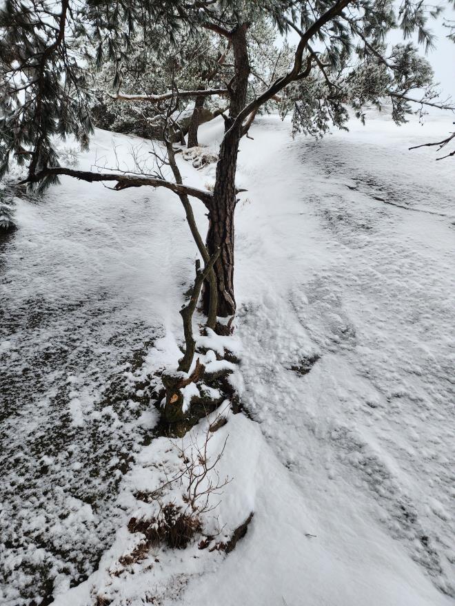 3dda3fd110dc0661344b1f26a39ce344_1766237