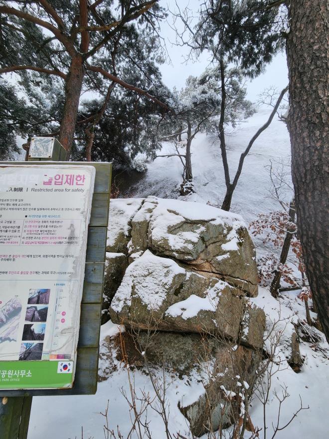 3dda3fd110dc0661344b1f26a39ce344_1766237