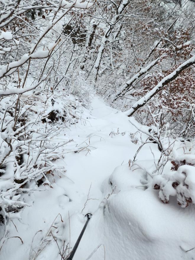 3dda3fd110dc0661344b1f26a39ce344_1766237