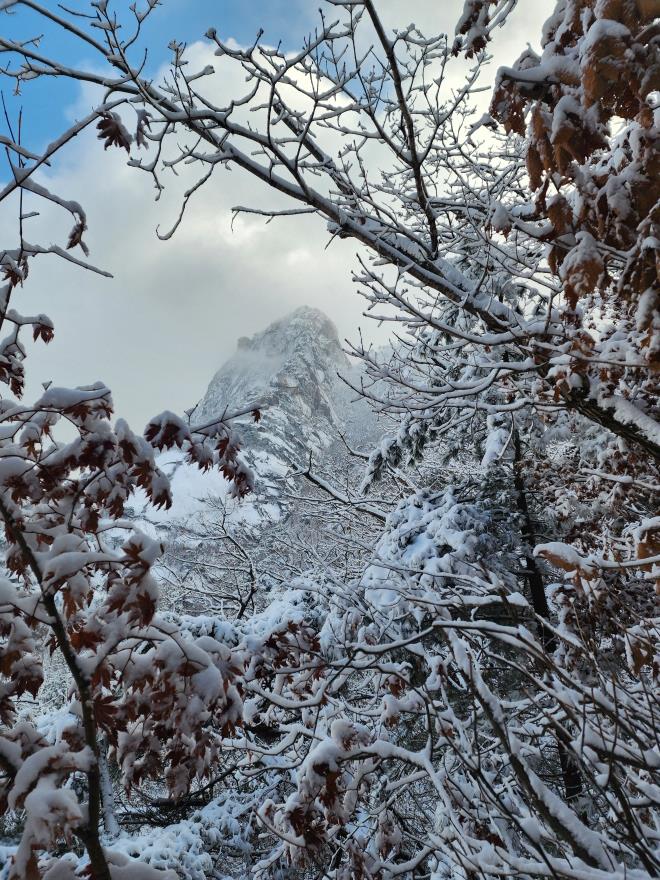 3dda3fd110dc0661344b1f26a39ce344_1766237