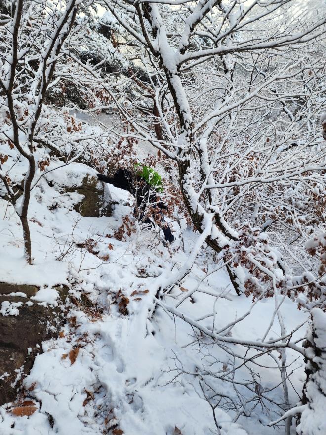 3dda3fd110dc0661344b1f26a39ce344_1766237