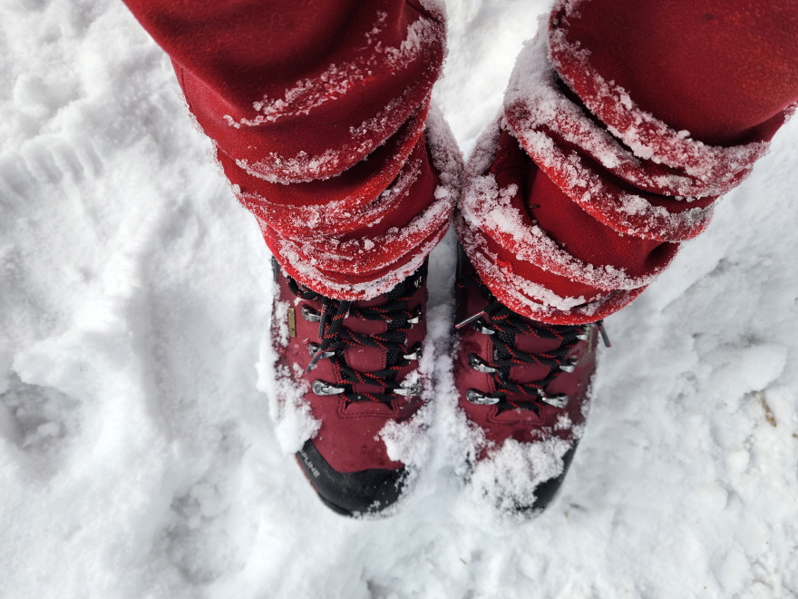 3dda3fd110dc0661344b1f26a39ce344_1766237