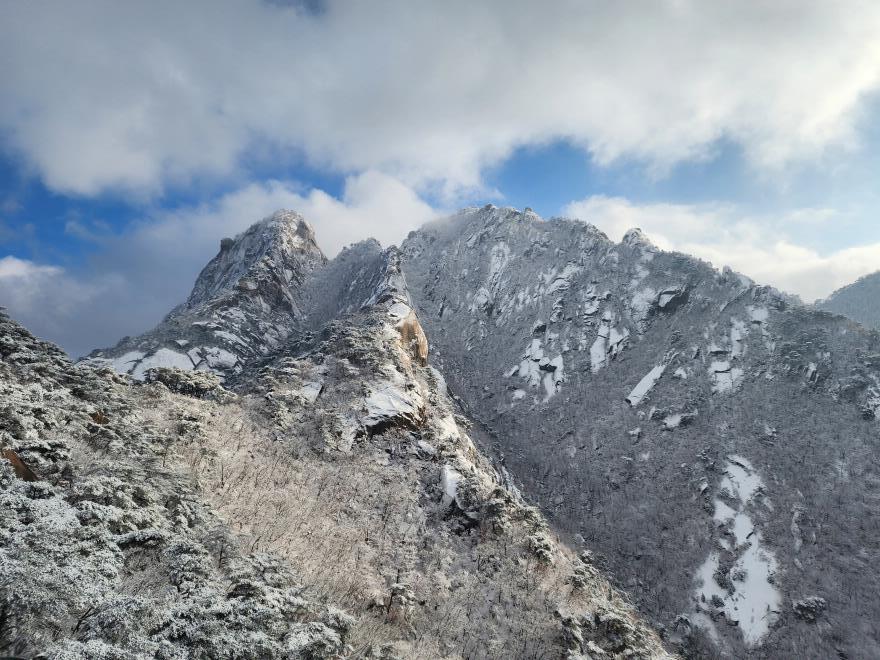 3dda3fd110dc0661344b1f26a39ce344_1766237