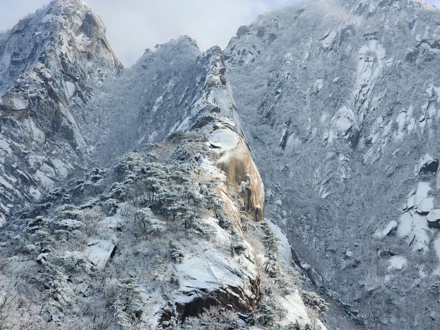 3dda3fd110dc0661344b1f26a39ce344_1766237