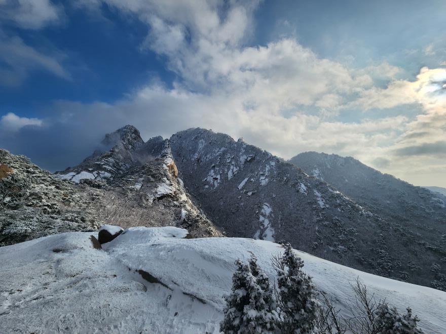 3dda3fd110dc0661344b1f26a39ce344_1766237