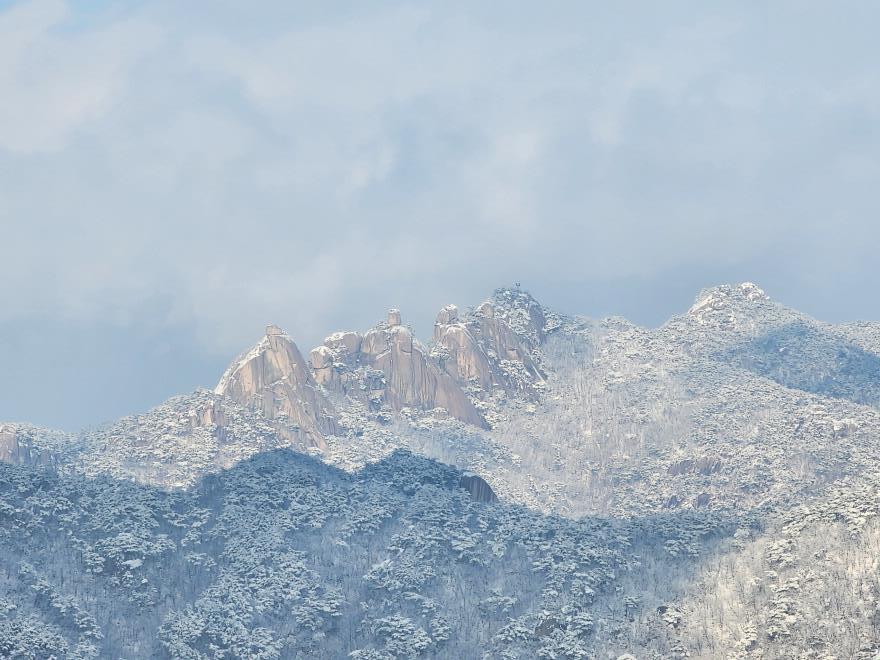 3dda3fd110dc0661344b1f26a39ce344_1766237