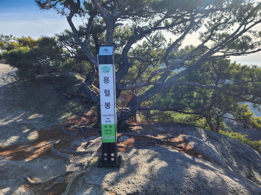 4081009a79b9eabe4e40e7895ad47be1_1766391