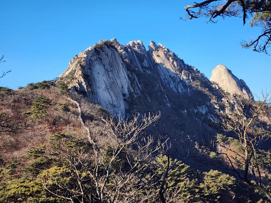 4081009a79b9eabe4e40e7895ad47be1_1766391