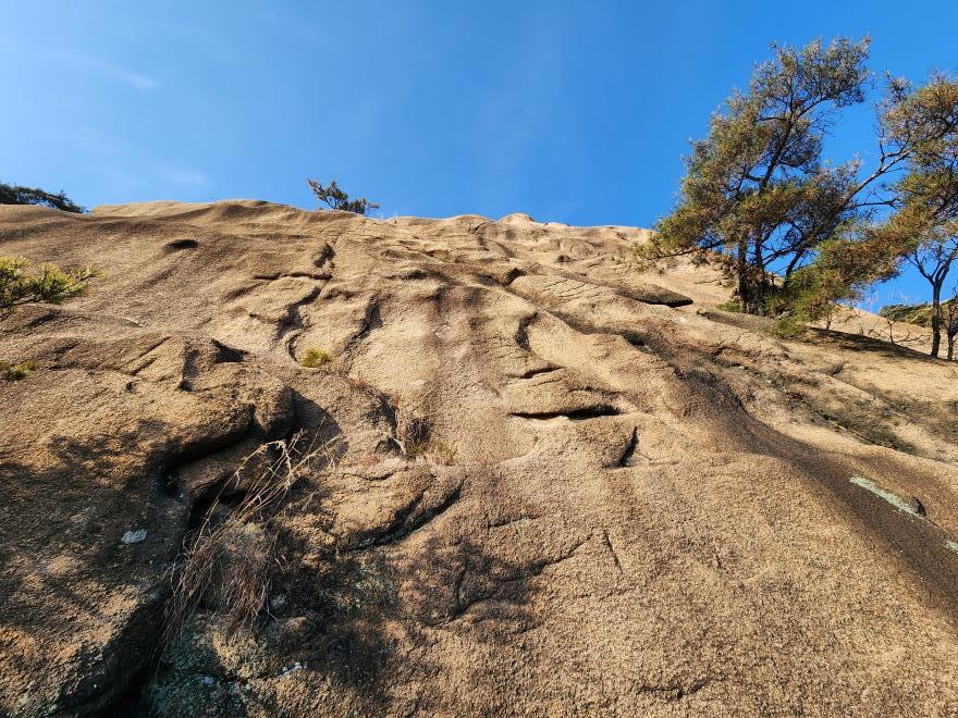 779a502cd99949e6e6ab0889f5287e40_1767671