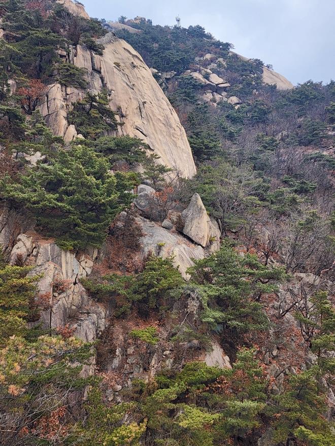 971d55fe9522bb04545de19ae38251e9_1767319852_5767.jpg 971d55fe9522bb04545de19ae38251e9_1767319