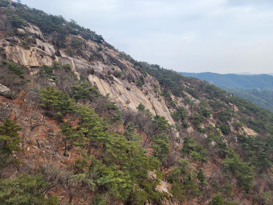 971d55fe9522bb04545de19ae38251e9_1767319852_6164.jpg 971d55fe9522bb04545de19ae38251e9_1767319