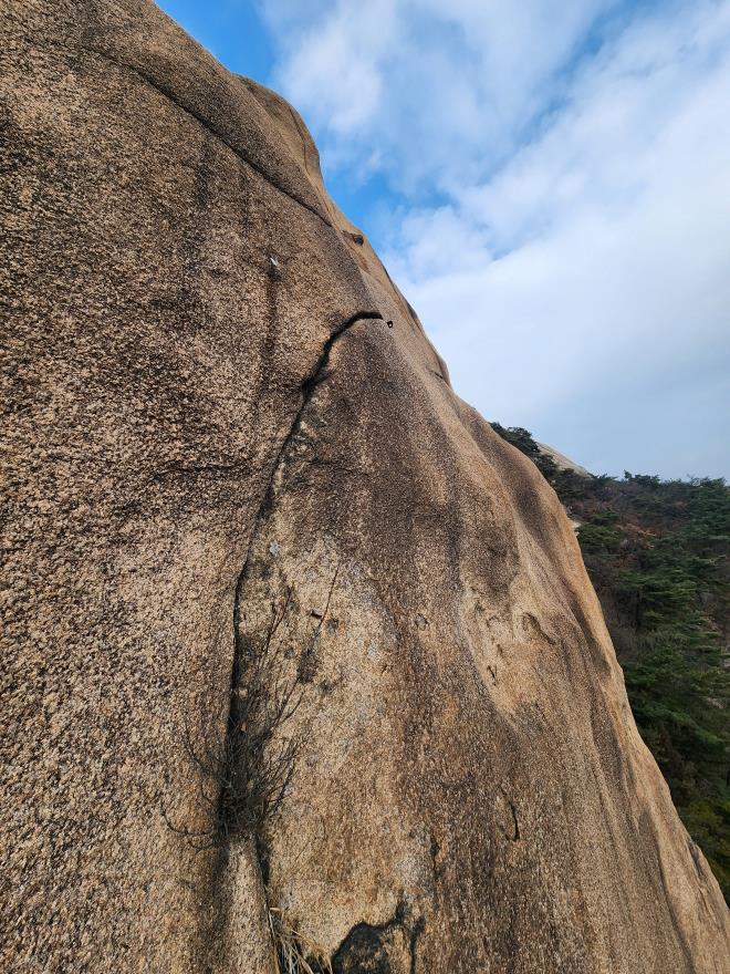 971d55fe9522bb04545de19ae38251e9_1767319863_5306.jpg 971d55fe9522bb04545de19ae38251e9_1767319