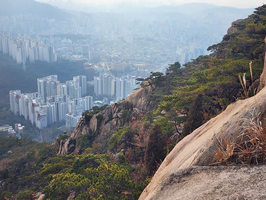 971d55fe9522bb04545de19ae38251e9_1767319863_6721.jpg 971d55fe9522bb04545de19ae38251e9_1767319