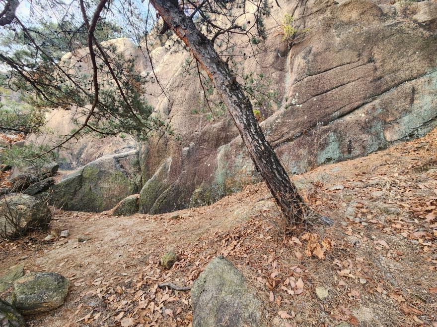 971d55fe9522bb04545de19ae38251e9_1767319863_7218.jpg 971d55fe9522bb04545de19ae38251e9_1767319