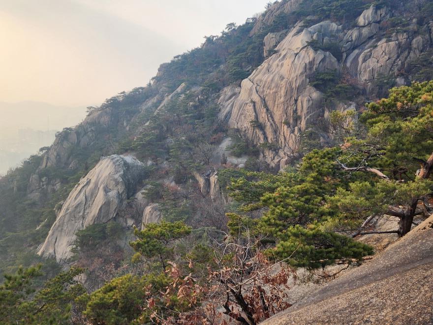 971d55fe9522bb04545de19ae38251e9_1767319883_6931.jpg 971d55fe9522bb04545de19ae38251e9_1767319