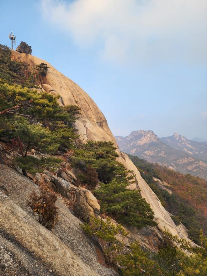 971d55fe9522bb04545de19ae38251e9_1767319