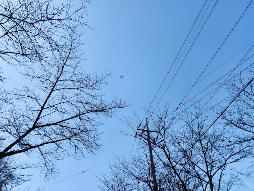 901088eadf602dc29d3c4ad7260f046f_1770694