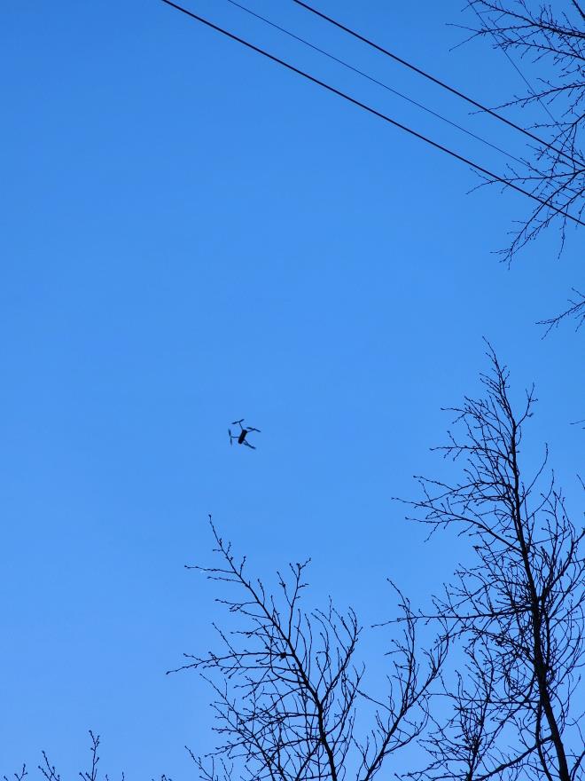 901088eadf602dc29d3c4ad7260f046f_1770694