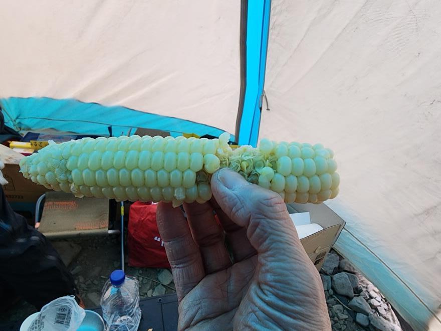 901088eadf602dc29d3c4ad7260f046f_1770694