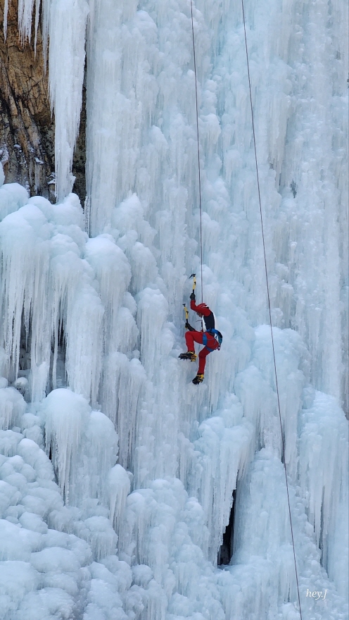 eeb778e74b95924f473fa147c5c0788b_1770017