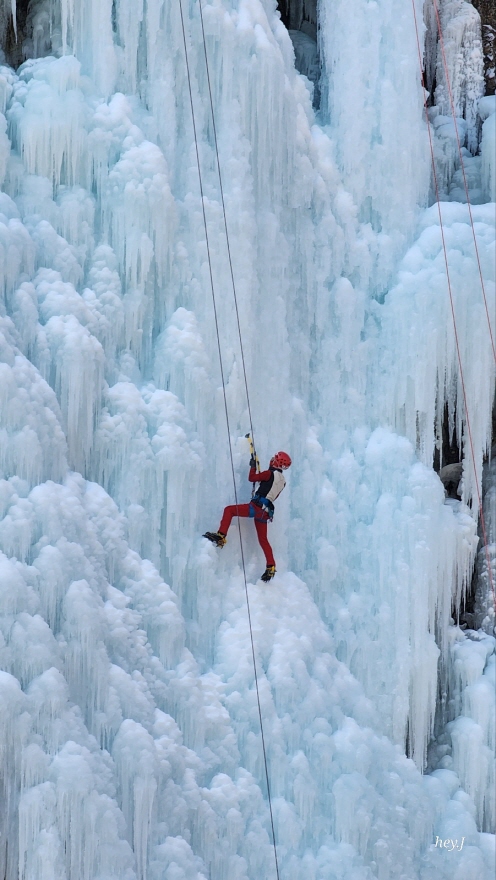 eeb778e74b95924f473fa147c5c0788b_1770017