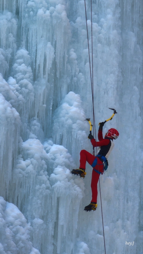 eeb778e74b95924f473fa147c5c0788b_1770017