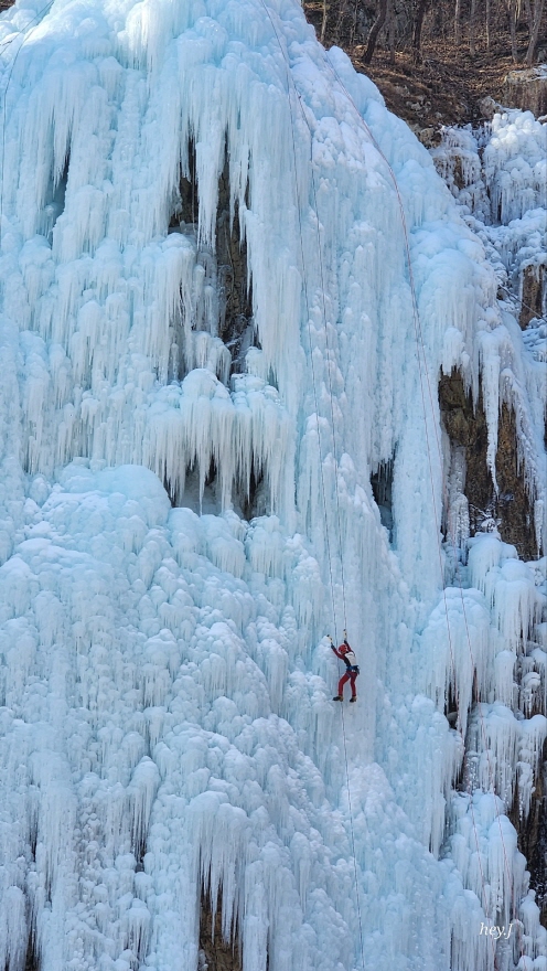 eeb778e74b95924f473fa147c5c0788b_1770017