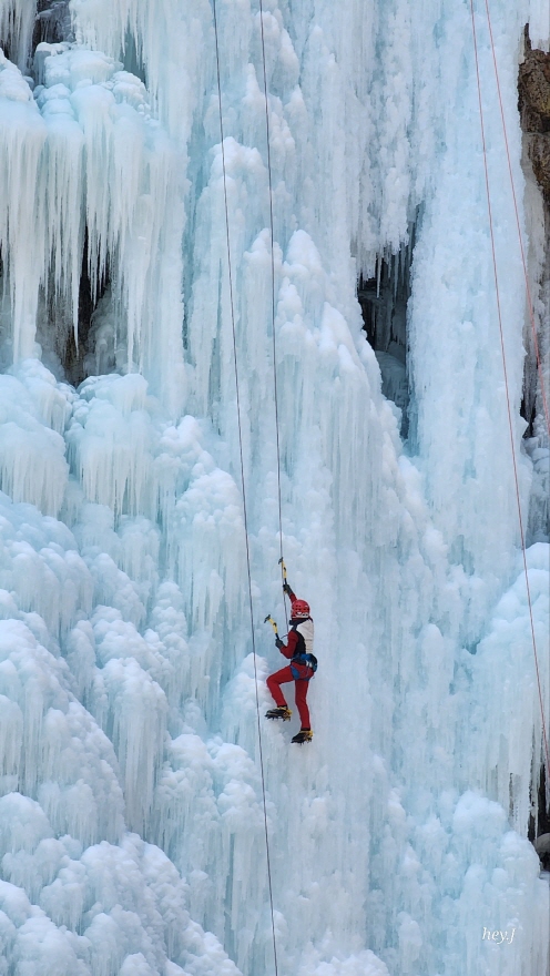 eeb778e74b95924f473fa147c5c0788b_1770017