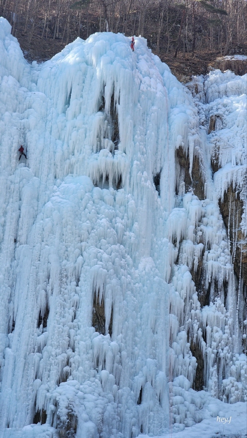 eeb778e74b95924f473fa147c5c0788b_1770017