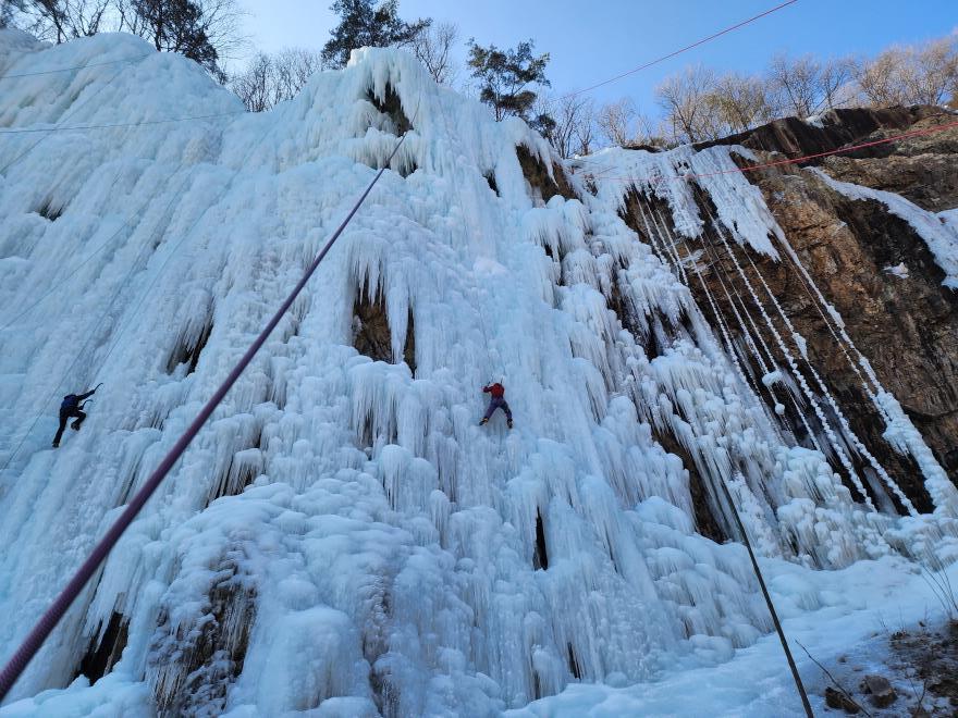 eeb778e74b95924f473fa147c5c0788b_1770017