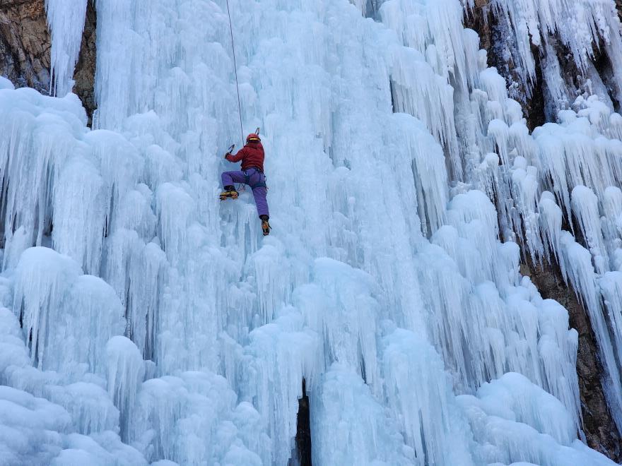 eeb778e74b95924f473fa147c5c0788b_1770017