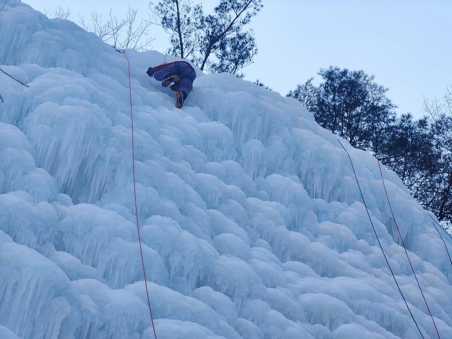 eeb778e74b95924f473fa147c5c0788b_1770017