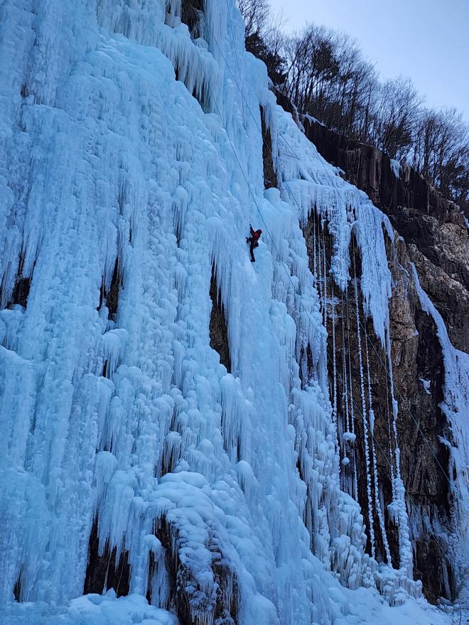 eeb778e74b95924f473fa147c5c0788b_1770017