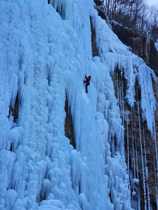 eeb778e74b95924f473fa147c5c0788b_1770017