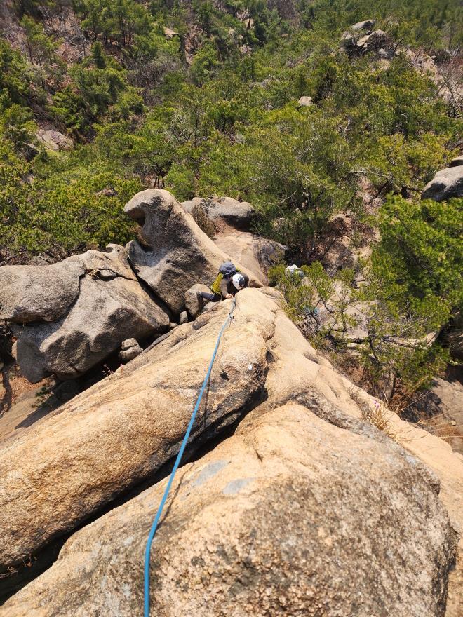 e40de8dfbc3da5dedd3c376c882ab131_1774411537_3648.jpg e40de8dfbc3da5dedd3c376c882ab131_1774411