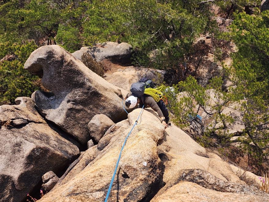 e40de8dfbc3da5dedd3c376c882ab131_1774411537_5243.jpg e40de8dfbc3da5dedd3c376c882ab131_1774411