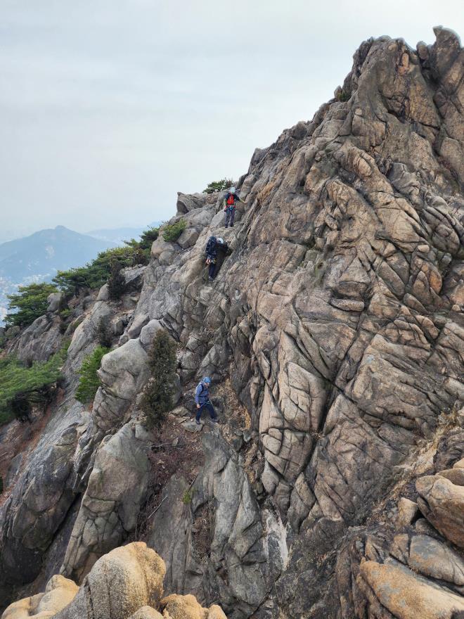 e40de8dfbc3da5dedd3c376c882ab131_1774411564_9374.jpg e40de8dfbc3da5dedd3c376c882ab131_1774411