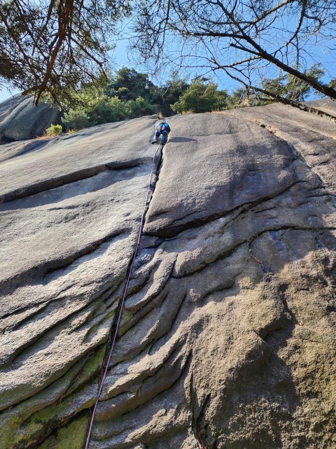 e465c44601279090aa6d6b605c65ae7d_1772681