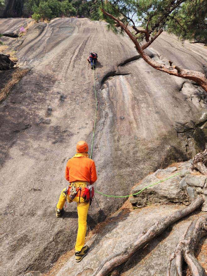 51d8eec4f5265cf0ca3325b4a748a996_1775446