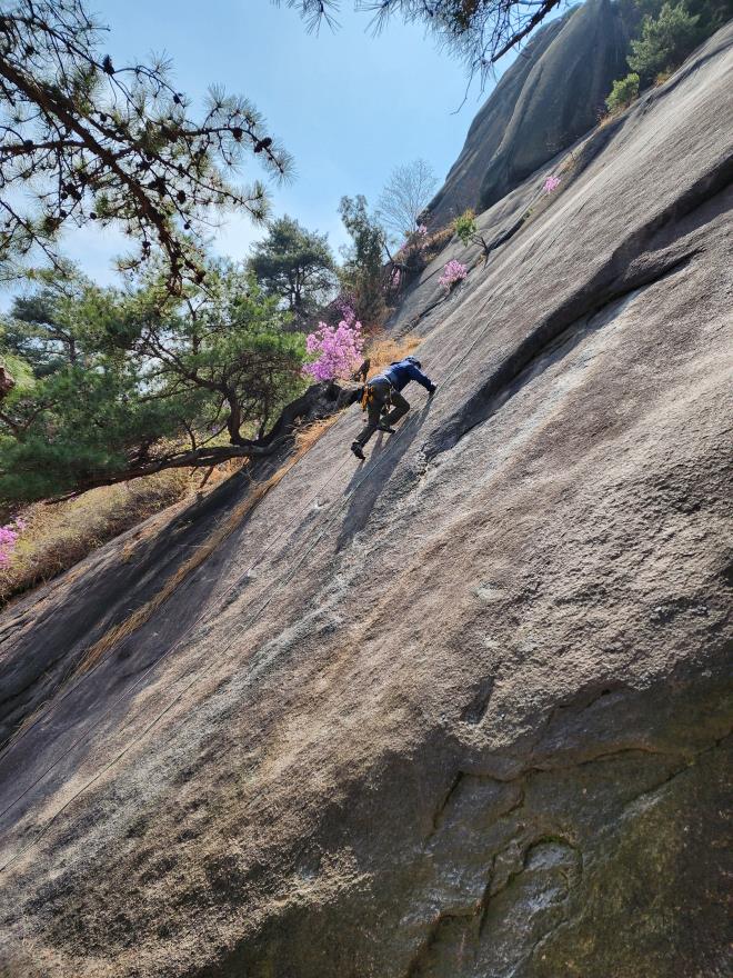 51d8eec4f5265cf0ca3325b4a748a996_1775446