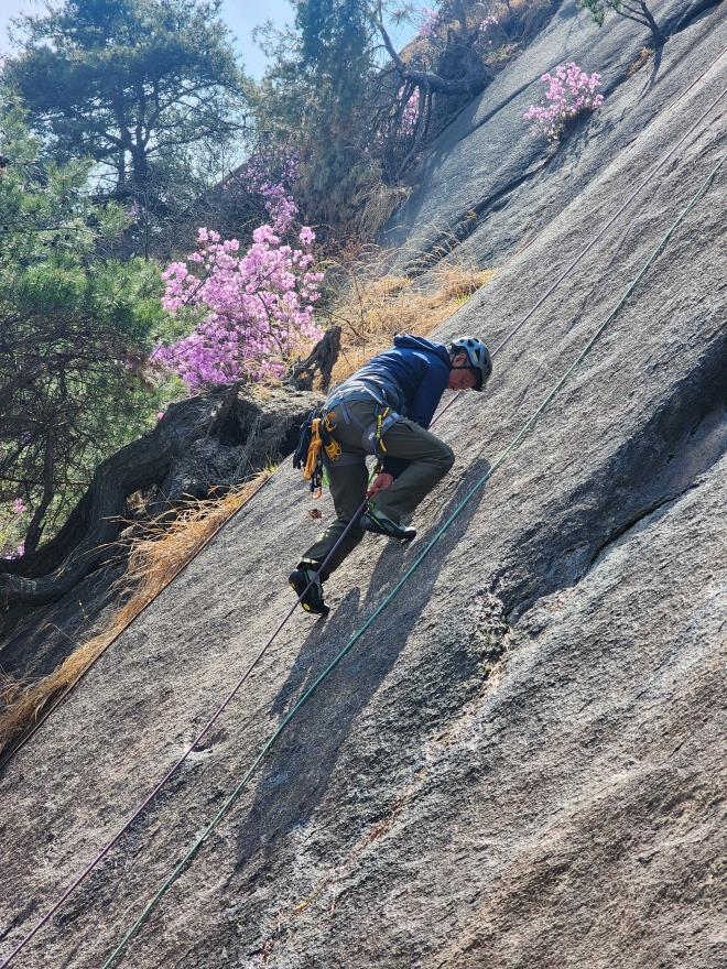 51d8eec4f5265cf0ca3325b4a748a996_1775446