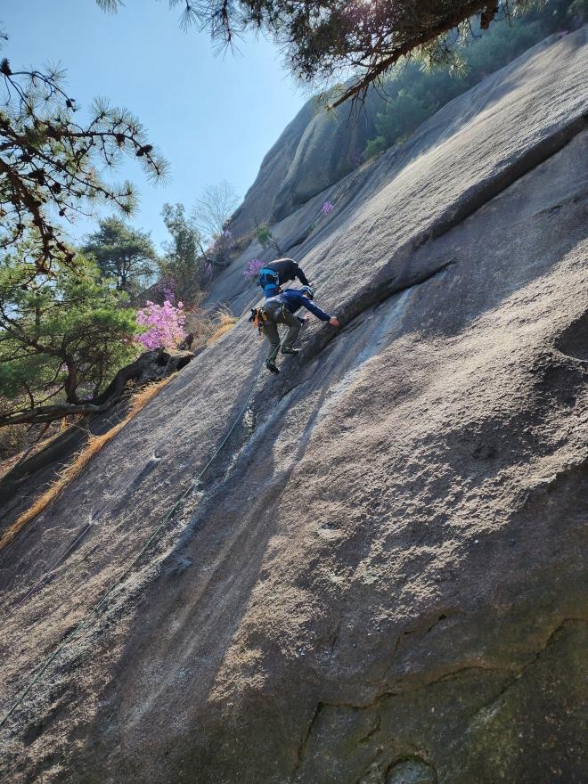 51d8eec4f5265cf0ca3325b4a748a996_1775446