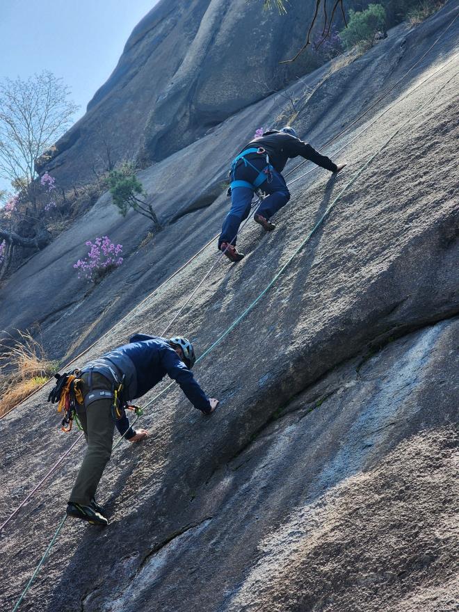 51d8eec4f5265cf0ca3325b4a748a996_1775446