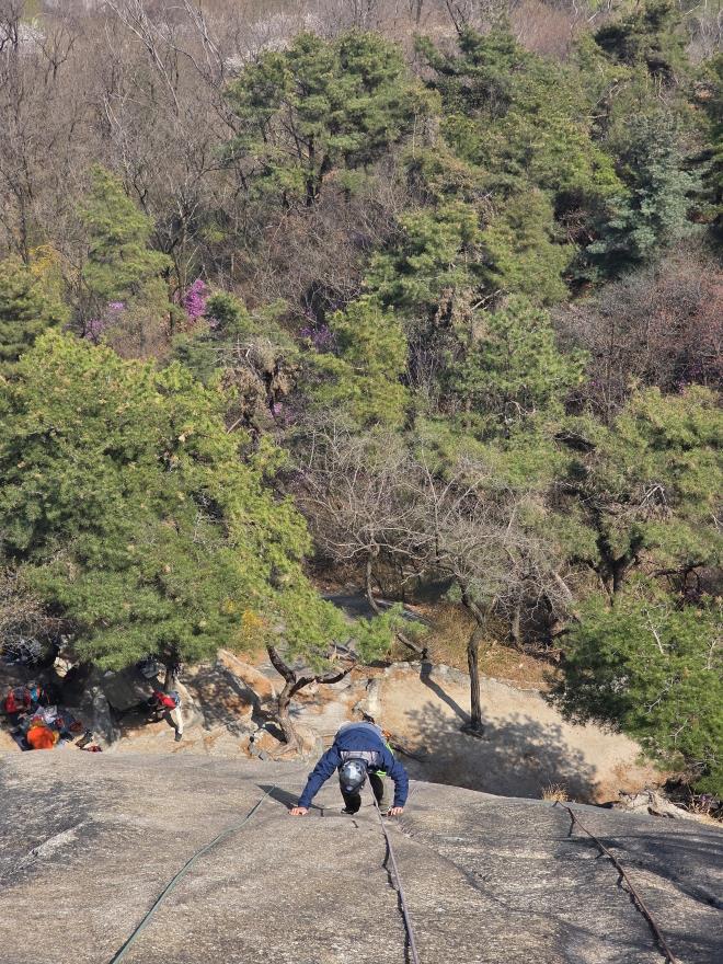 51d8eec4f5265cf0ca3325b4a748a996_1775447