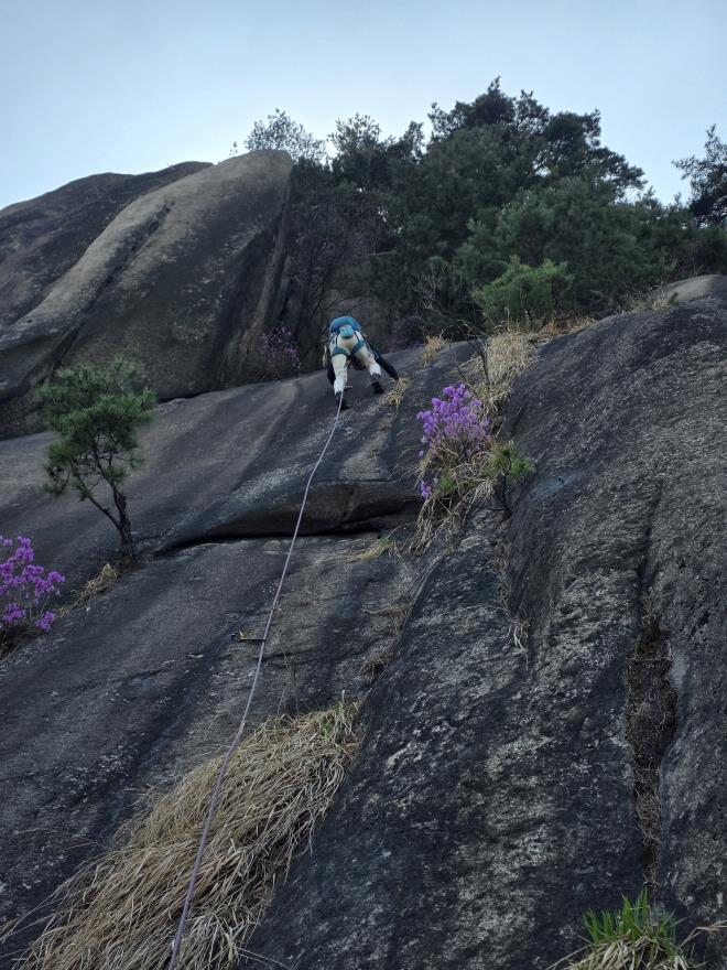 51d8eec4f5265cf0ca3325b4a748a996_1775447